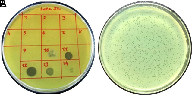 Figure 1. a,b.