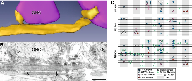 FIG. 8