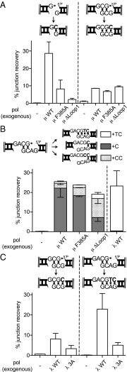 Fig. 4.