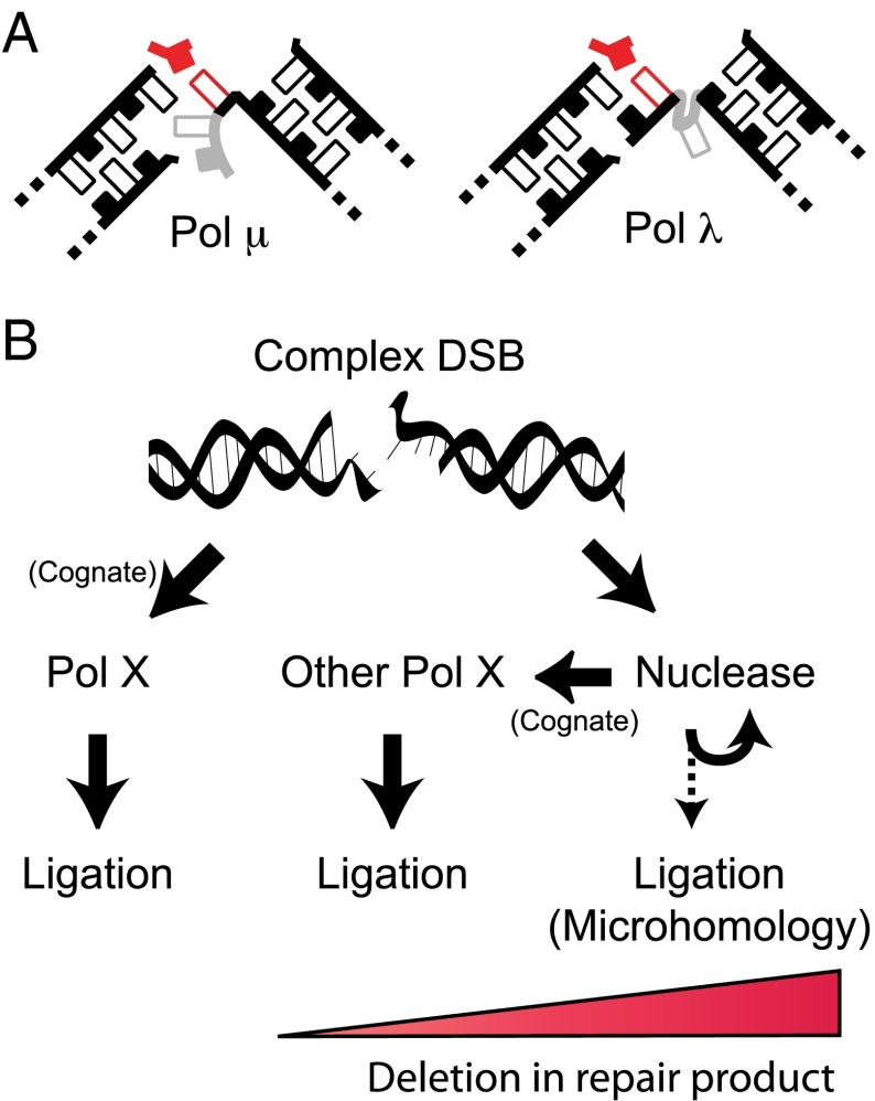 Fig. 7.