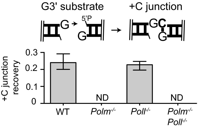 Fig. S1.