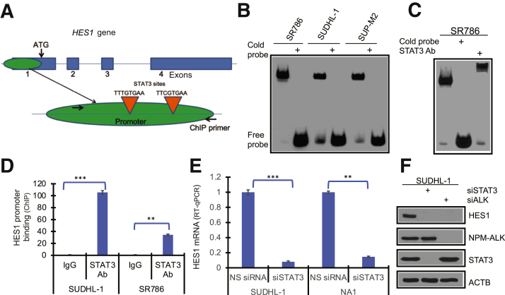 Figure 4