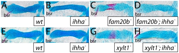 Figure 12