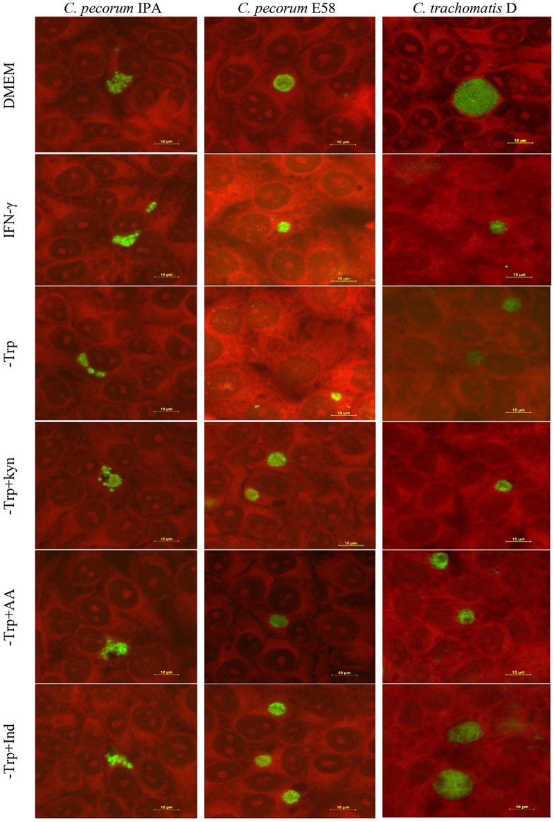 FIG 4