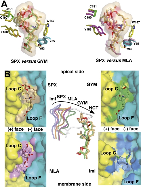 Fig. 4.