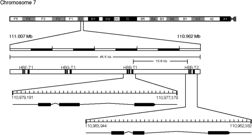 Figure 1.—