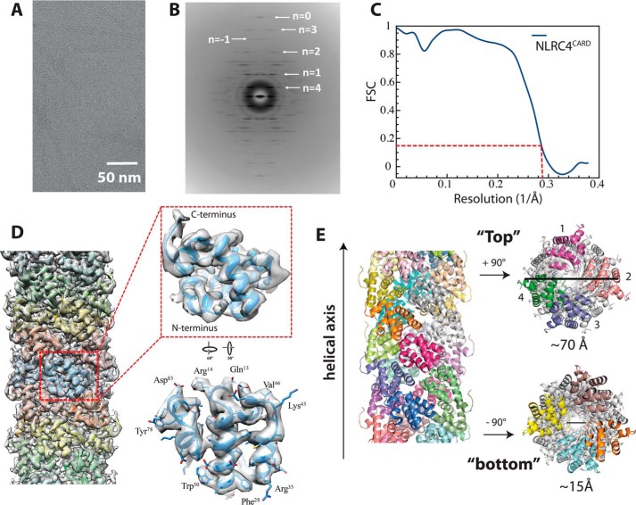 Figure 2.