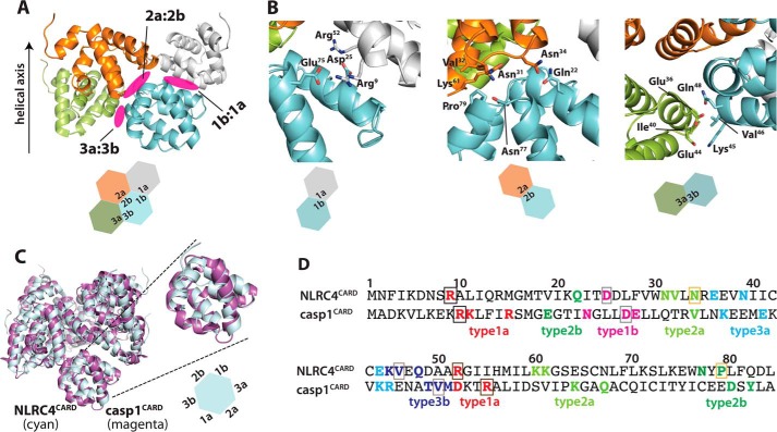 Figure 3.