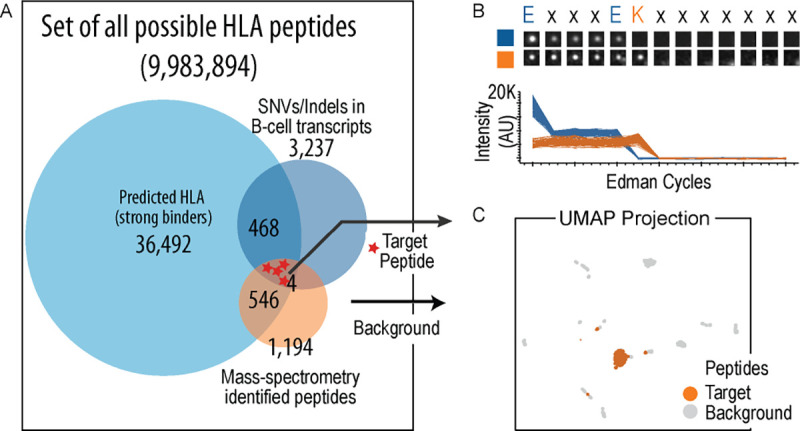 Figure 5: