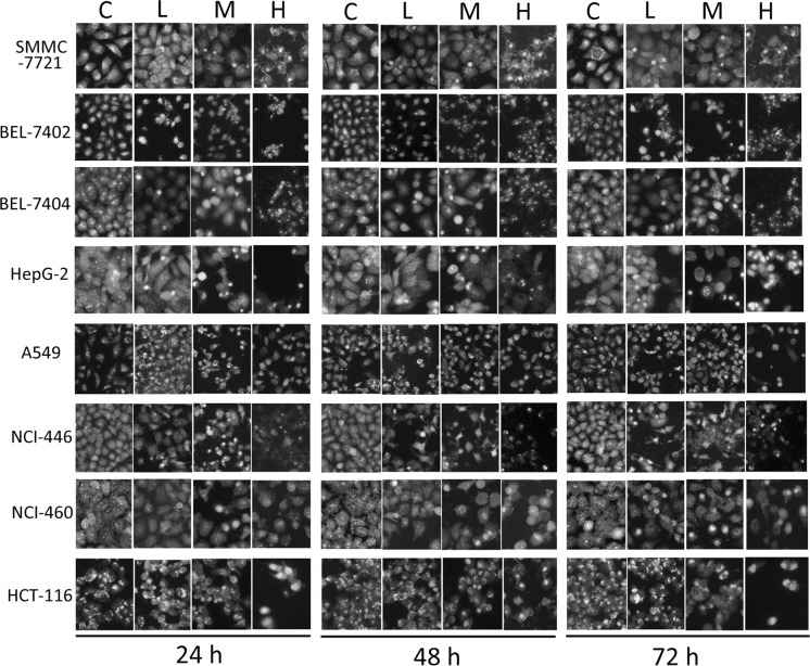 Fig. 4