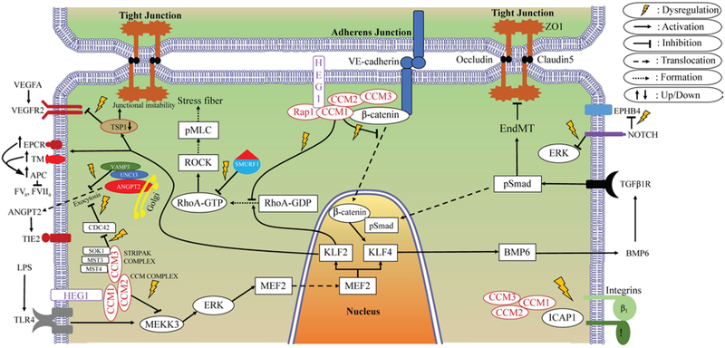 FIG. 6.