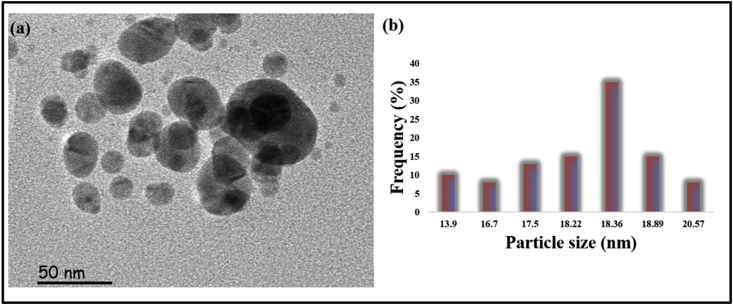 Figure 1