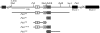 FIG. 1.
