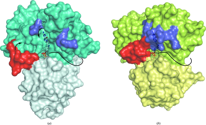 Figure 7