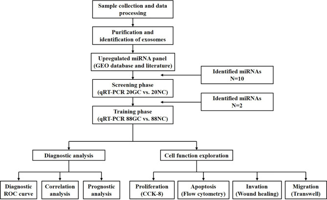 Figure 1