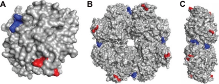 FIGURE 4.