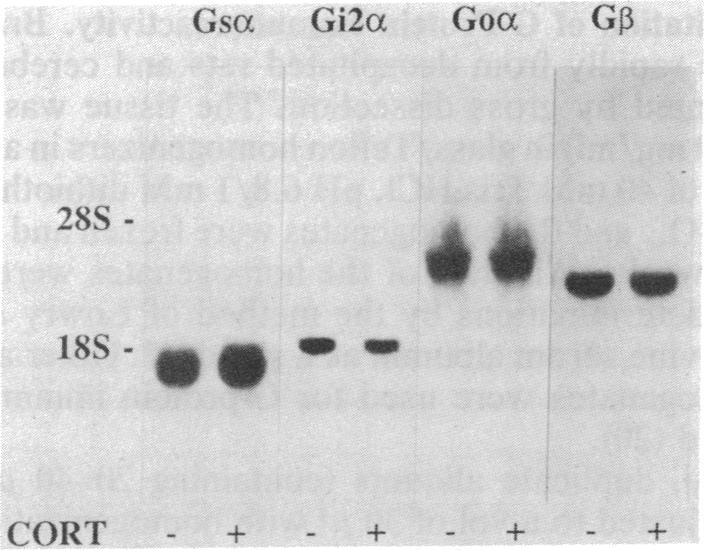 graphic file with name pnas00250-0475-a.jpg