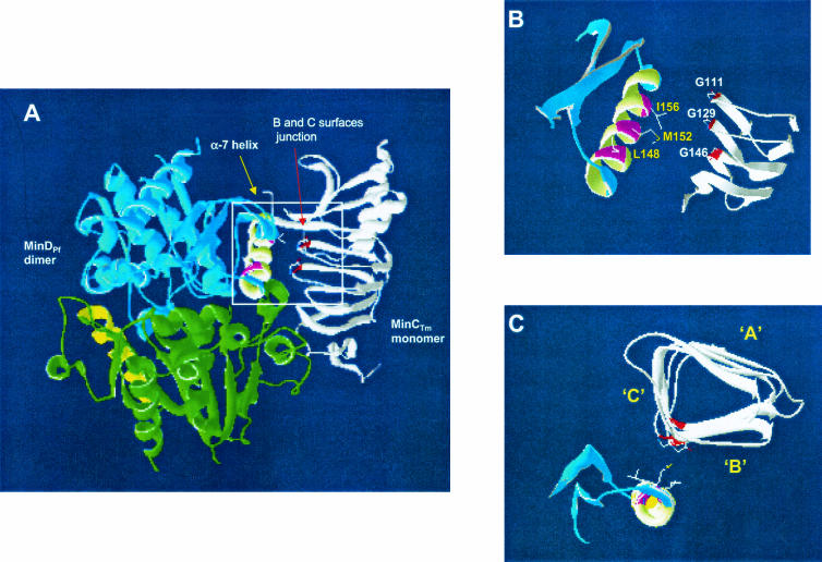 FIG. 7.