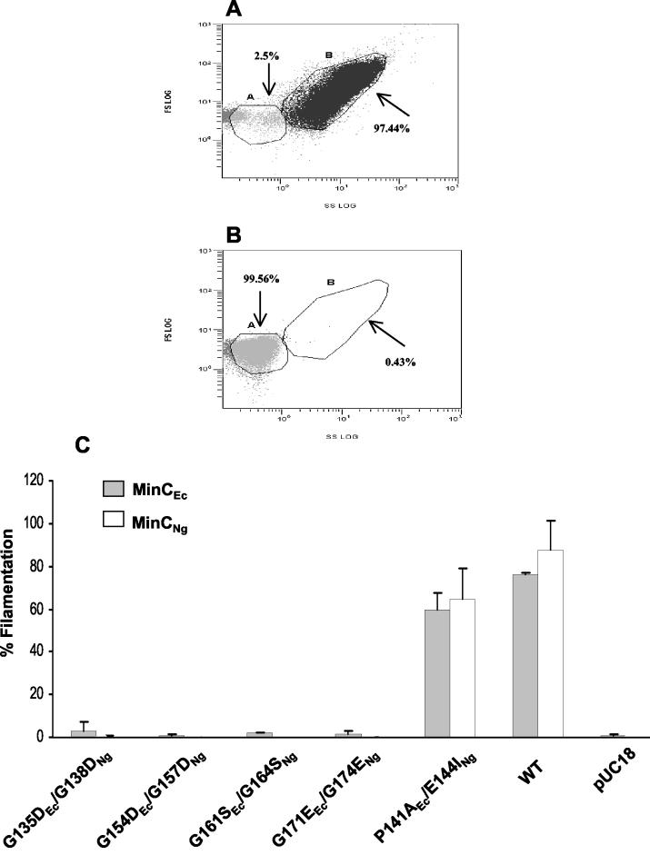 FIG. 2.