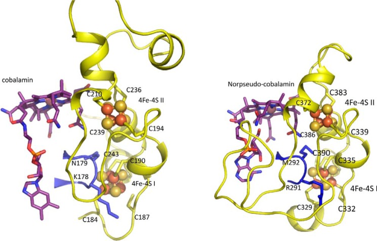 FIGURE 9.