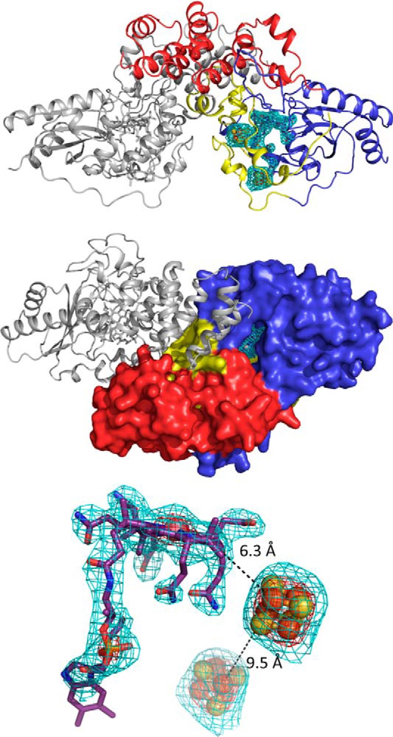 FIGURE 6.
