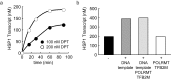 Figure 1—figure supplement 3.