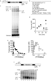 Figure 1—figure supplement 1.