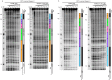Figure 5—figure supplement 2.
