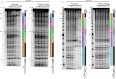 Figure 5—figure supplement 1.