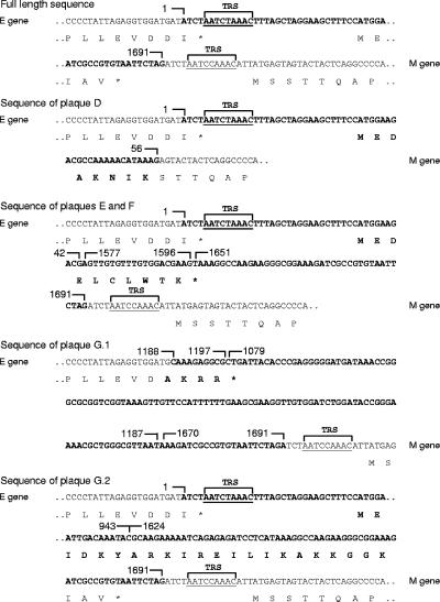 FIG. 4.