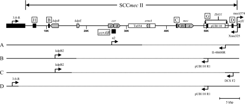 FIG. 2.