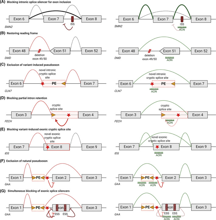 FIGURE 2