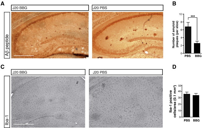 Fig. 4