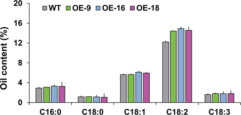 Fig 5