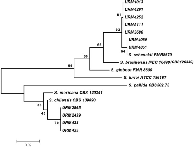 Fig 1