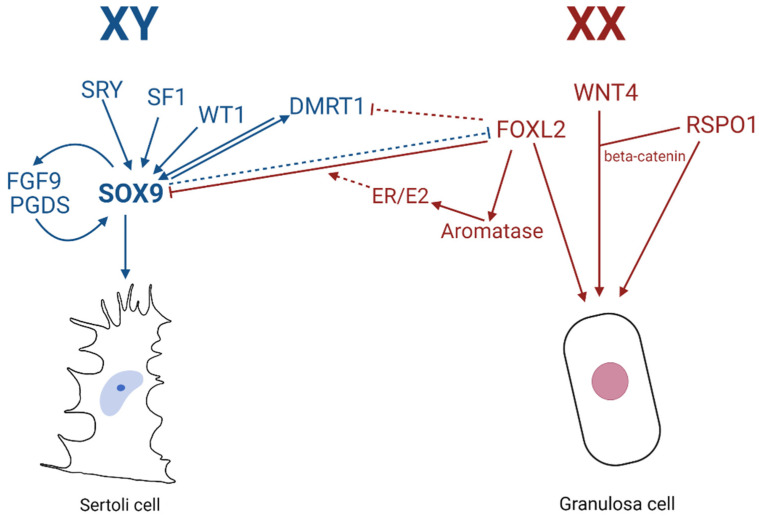 Figure 7