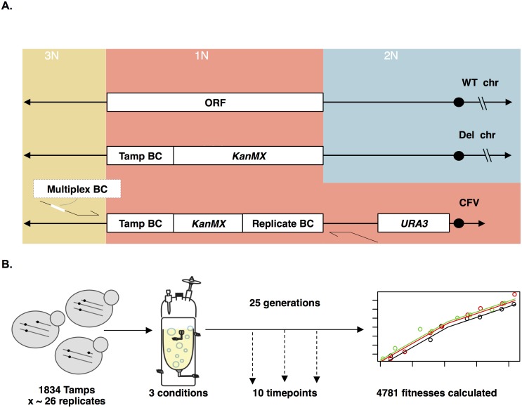 Fig 4