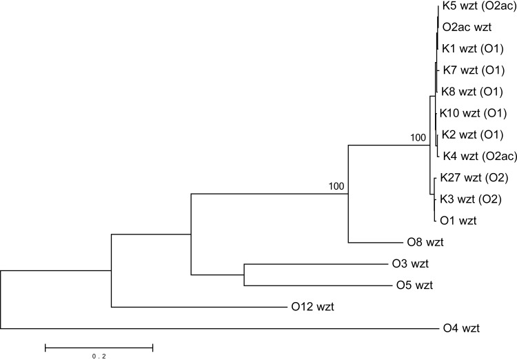 FIG 3