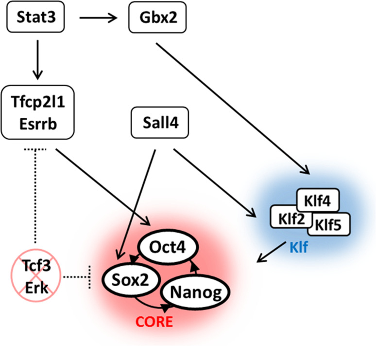 Fig. 1