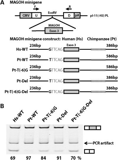 Figure 4.