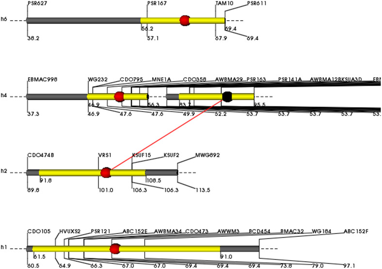 FIGURE 2