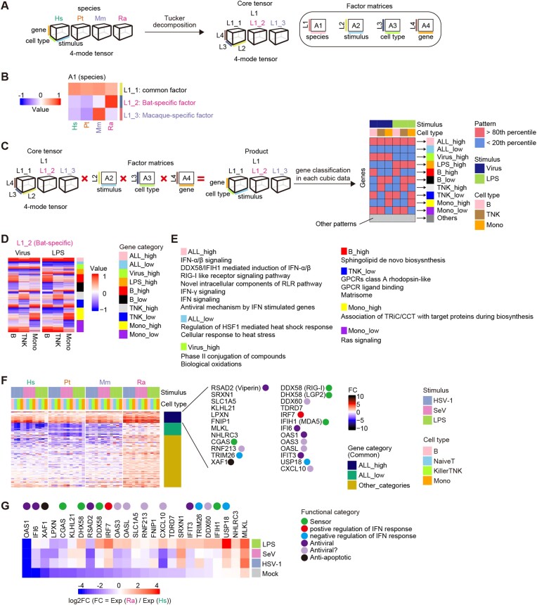 Figure 2: