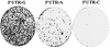 FIG. 2.