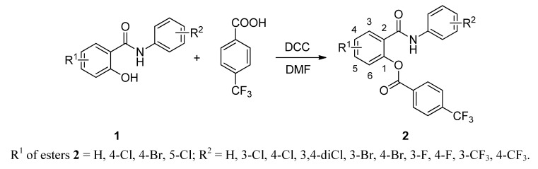 Scheme 2