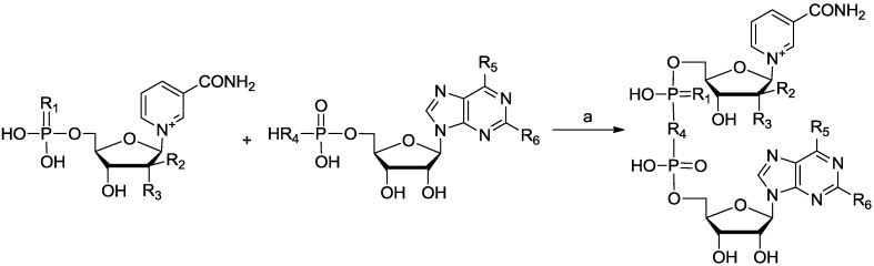 Scheme 1