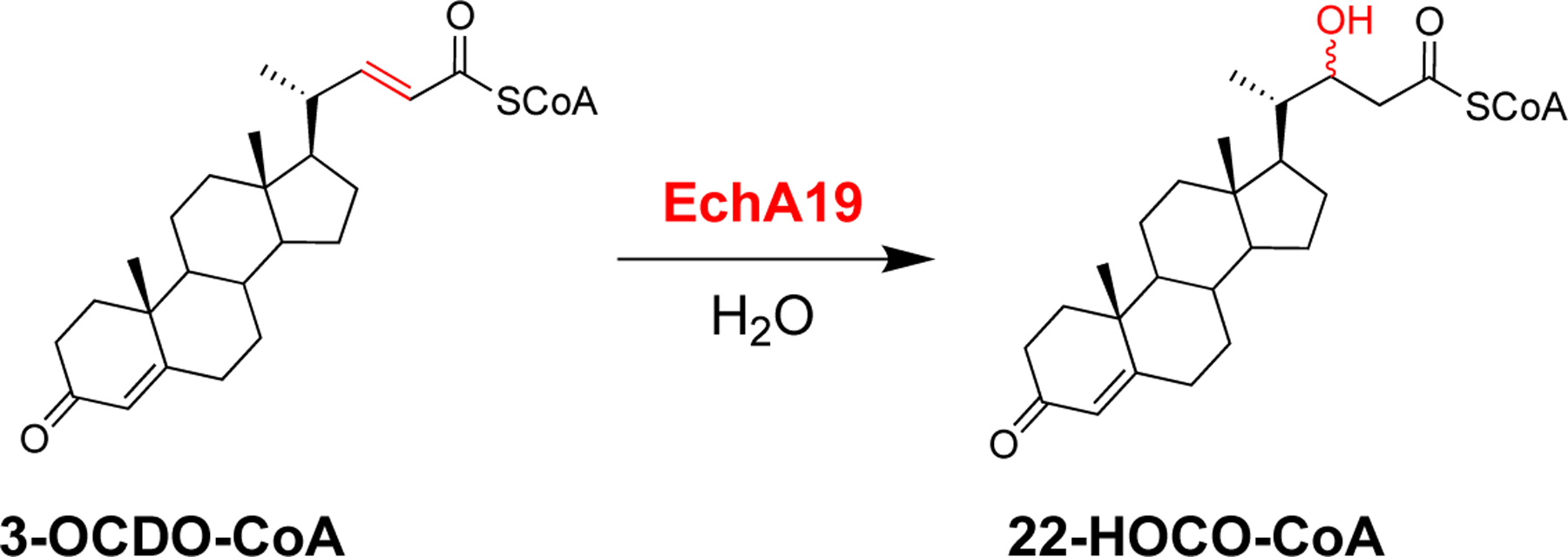 Scheme 2.