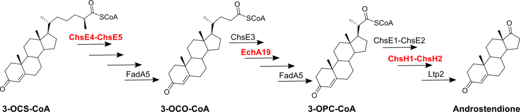 Scheme 1.