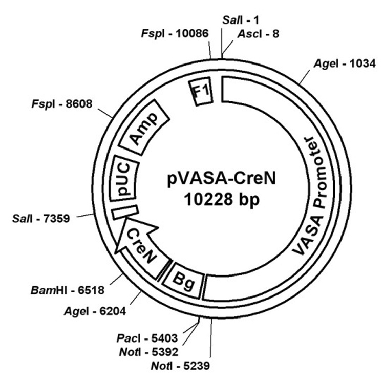 FIG. 1