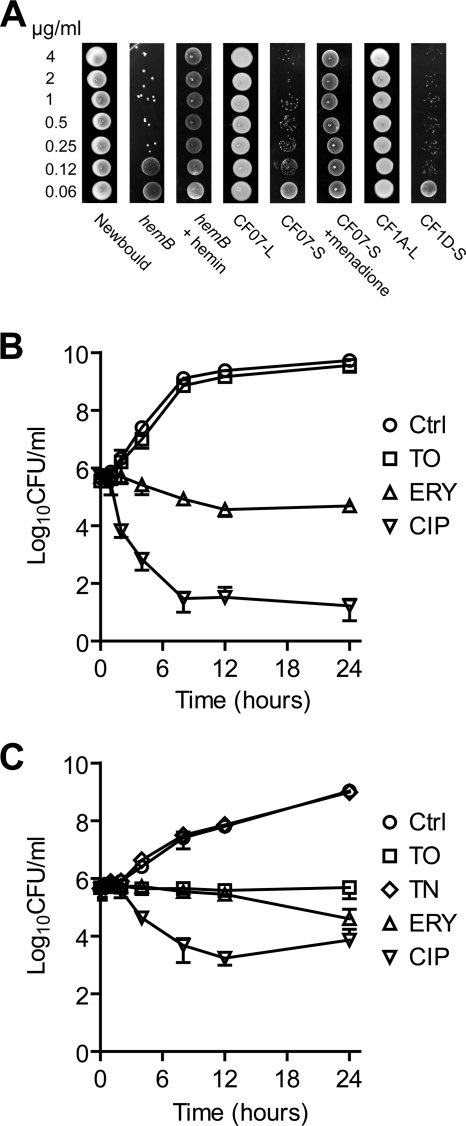 Fig. 2.