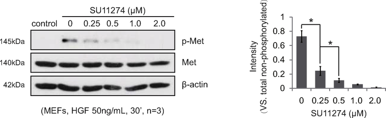 Supplementary Figure 1